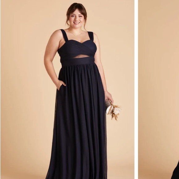 Birdy Grey Dresses & Skirts - Birdy Grey Elyse Mesh Navy Size Medium